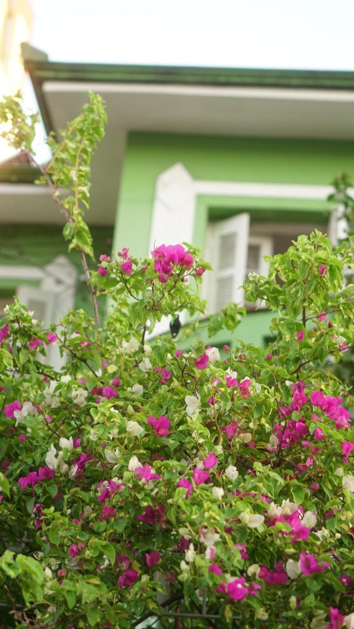 Poa Eco Hostel Porto Alegre Kültér fotó