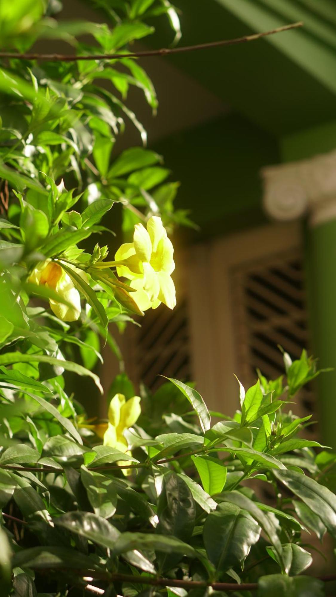 Poa Eco Hostel Porto Alegre Kültér fotó