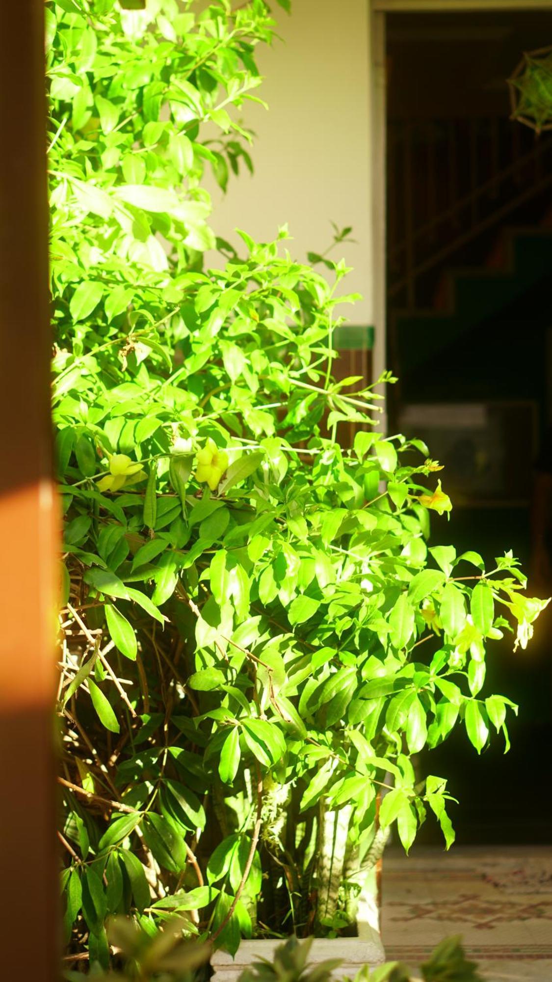 Poa Eco Hostel Porto Alegre Kültér fotó