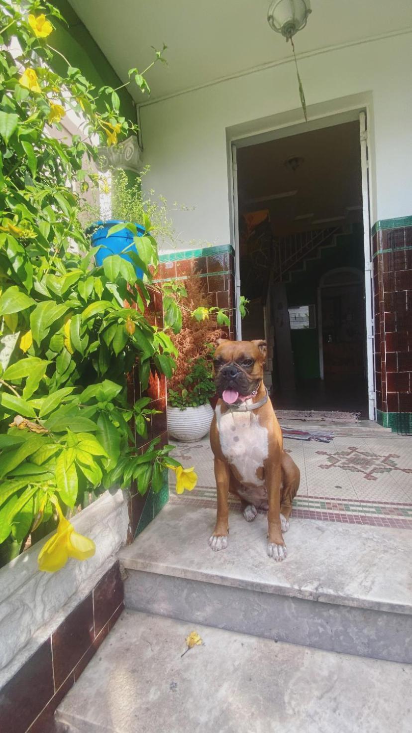 Poa Eco Hostel Porto Alegre Kültér fotó